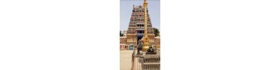 அரியலூர் கோதண்டராமர் 